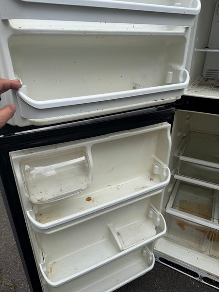 Frigidaire Stainless Fridge